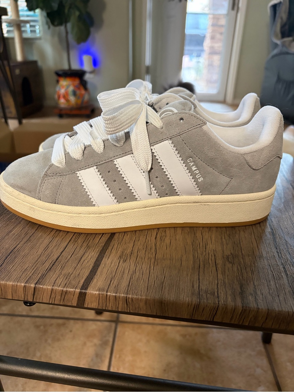 adidas Campus Suede Sneakers in Light Gray and White
